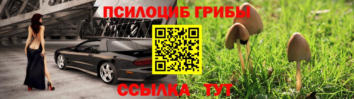 Карпинск  Псилоцибиновые грибы Magic Shrooms  Вход с VPN 